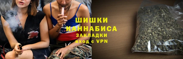 молекула духа Ростов