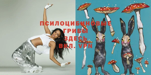 молекула духа Аркадак