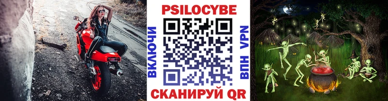 Псилоцибиновые грибы мухоморы Тайшет